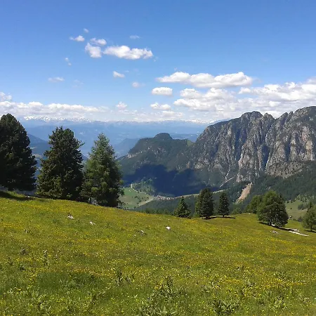 Hotel Wieslhof 3*