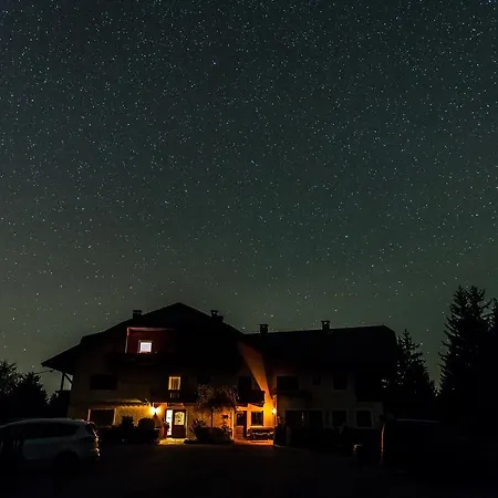 Hotel Wieslhof 3*